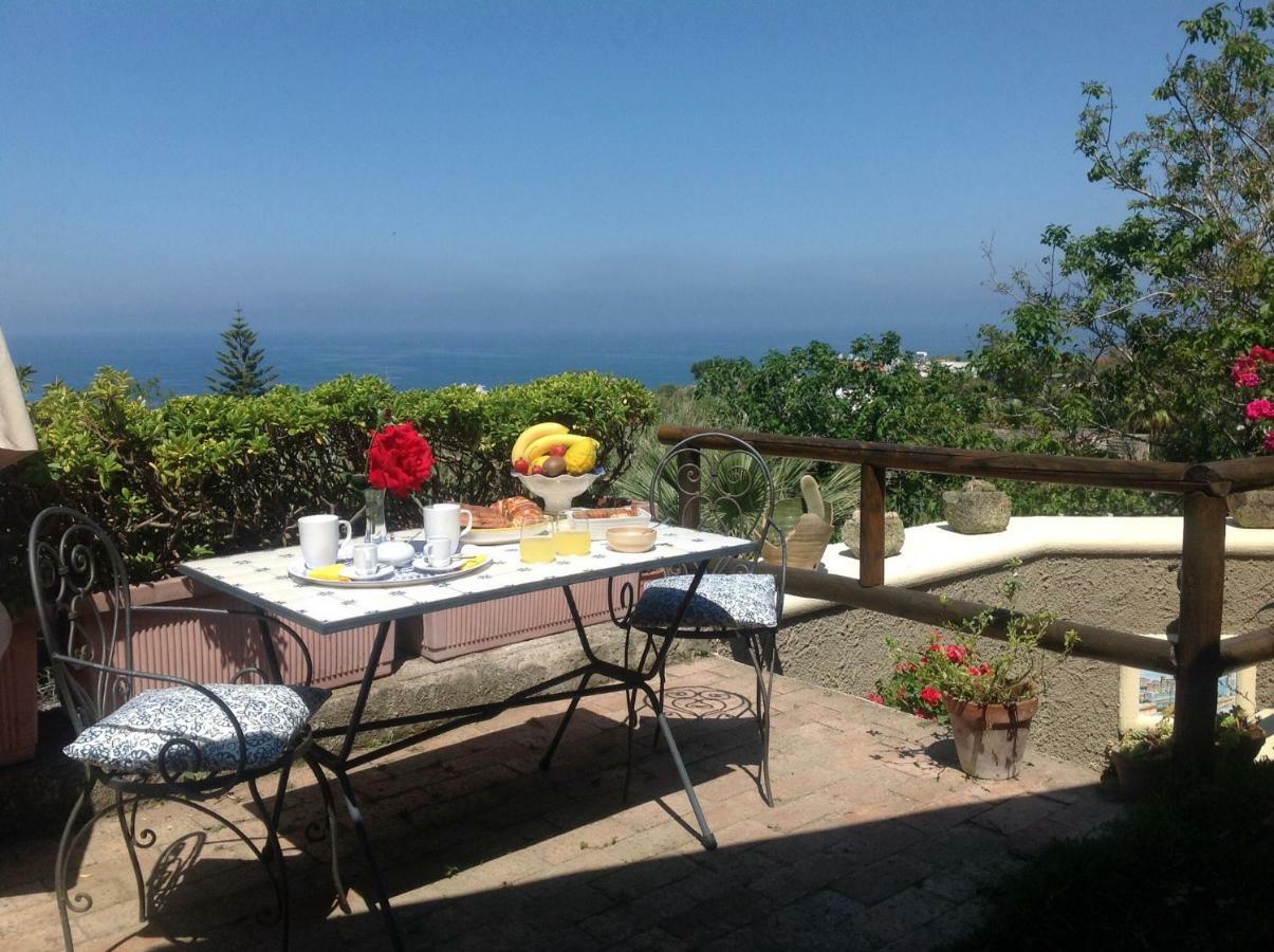 La Terrazzina Sul Tramonto Bed & Breakfast Forio  Exterior photo